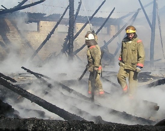 Пожар в Поворинском районе